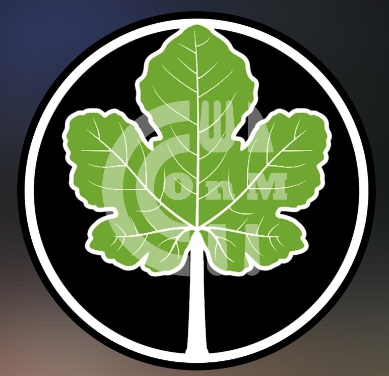 Adam Coffee Shop Restaurant Offer in Qatar