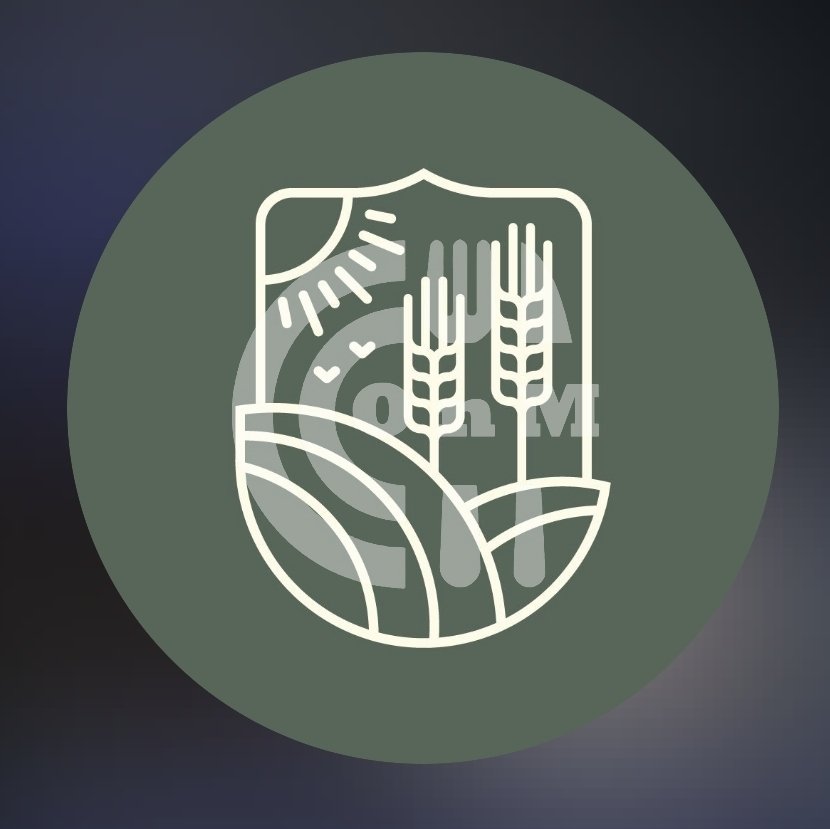 Basaksehir Turkish Restaurant Downtown Restaurant Offer in Qatar