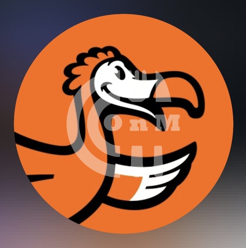 Dodo Pizza Restaurant Offer in Qatar